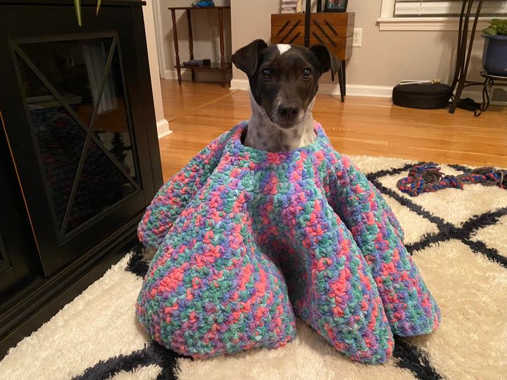 A small speckled pup with a black face and alert ears sits fully enveloped in a purple, teal, and pink crochet work.